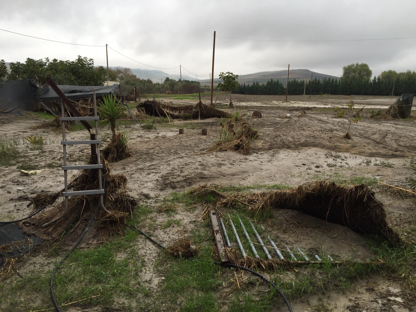 Alluvione 2015, aiuti anche alle aziende di Orsara