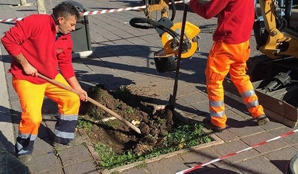 Il Comune di Foggia pianta 34 nuovi alberi