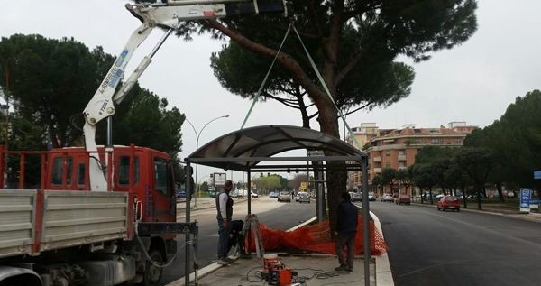 Installata la pensilina in viale XXIV Maggio