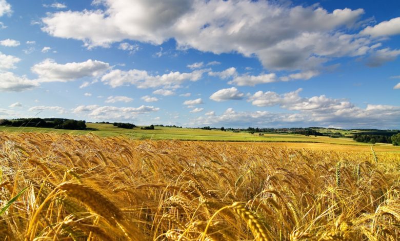 agricoltori-puglia