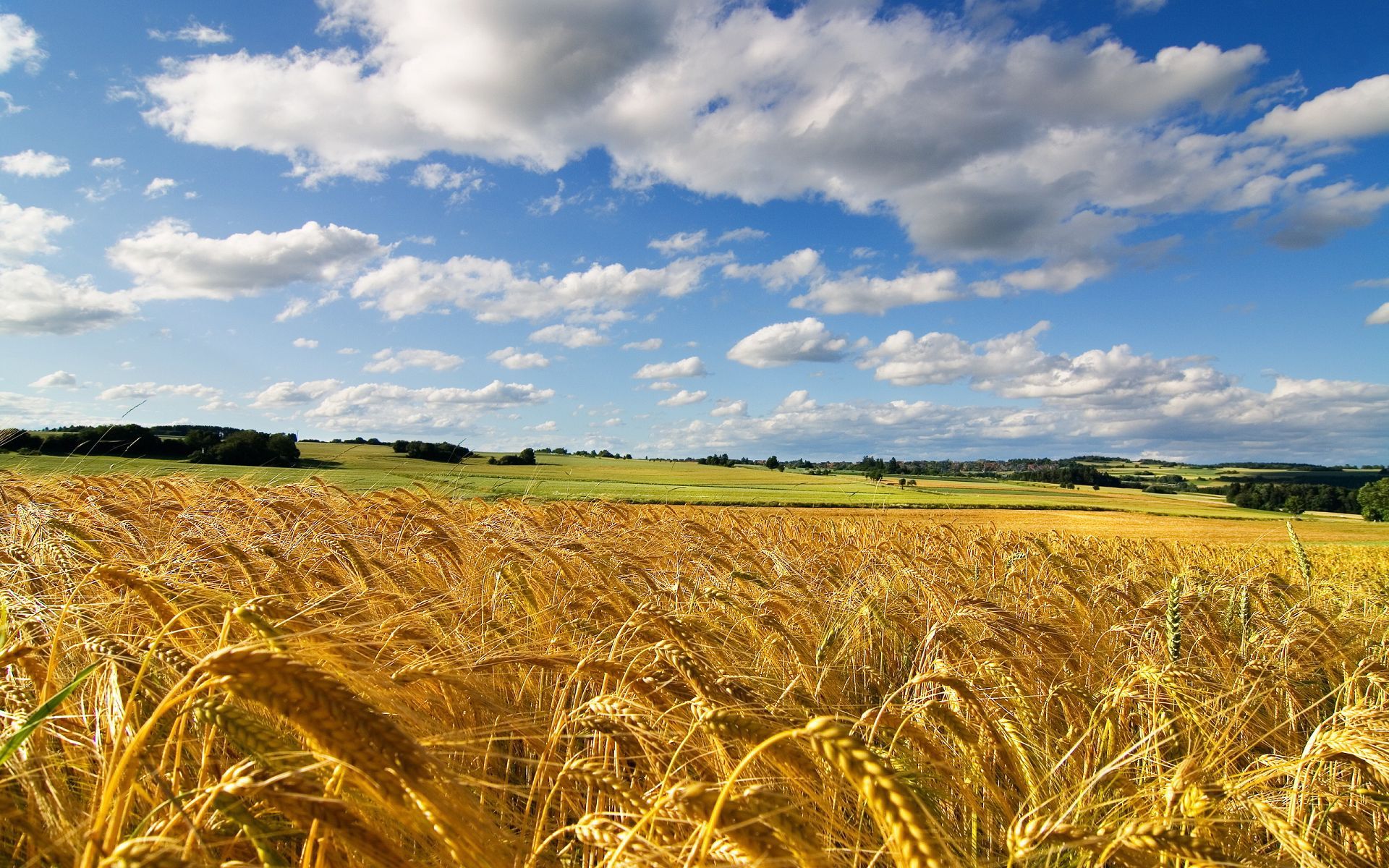 agricoltori-puglia