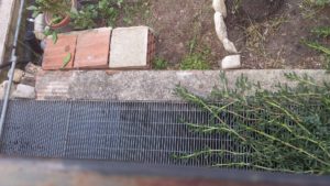 14191808_1235588363152817_412659317_o