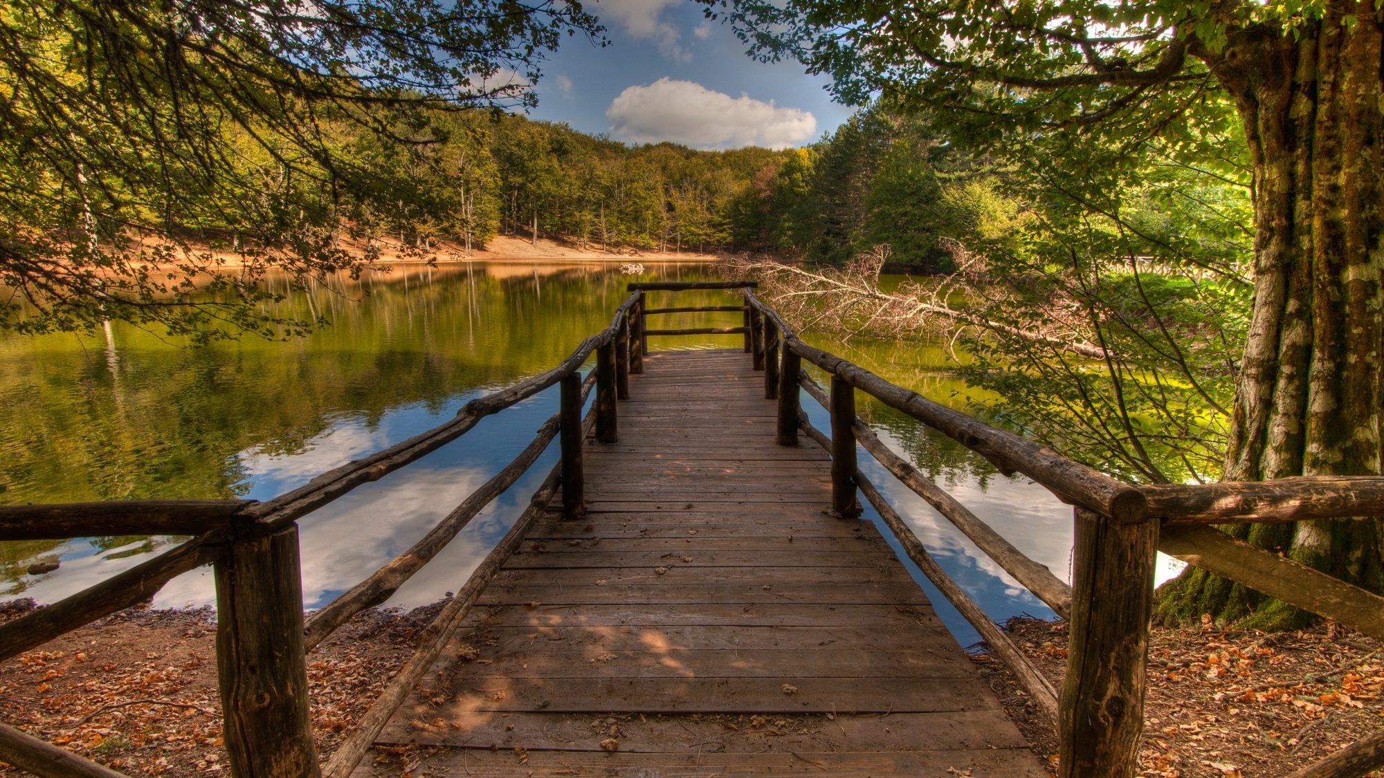 garrgano-ponte-ognissanti