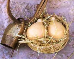 caciocavallo_podolico