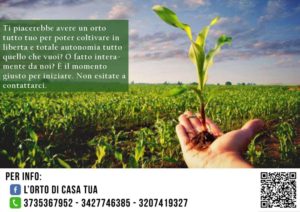 orto