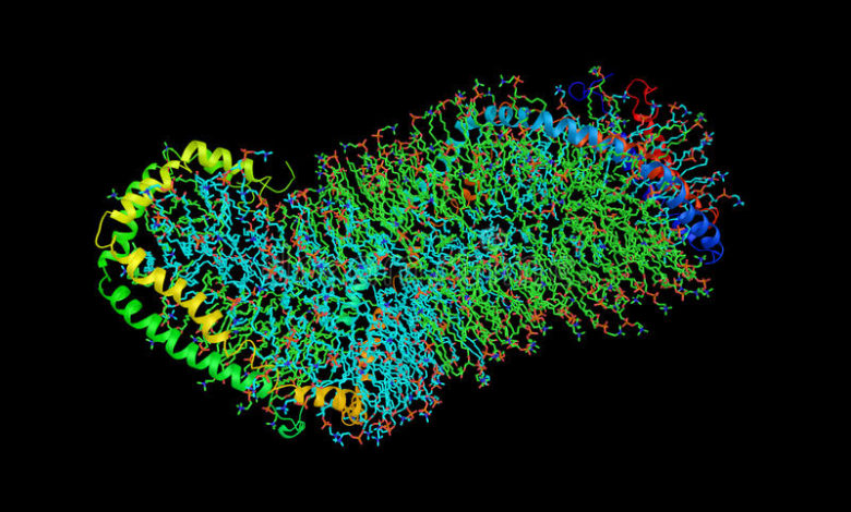 Lipoproteina A