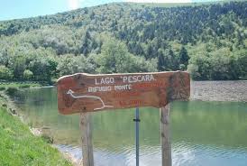 Il Parco Avventura Progetta Il Bed&tree