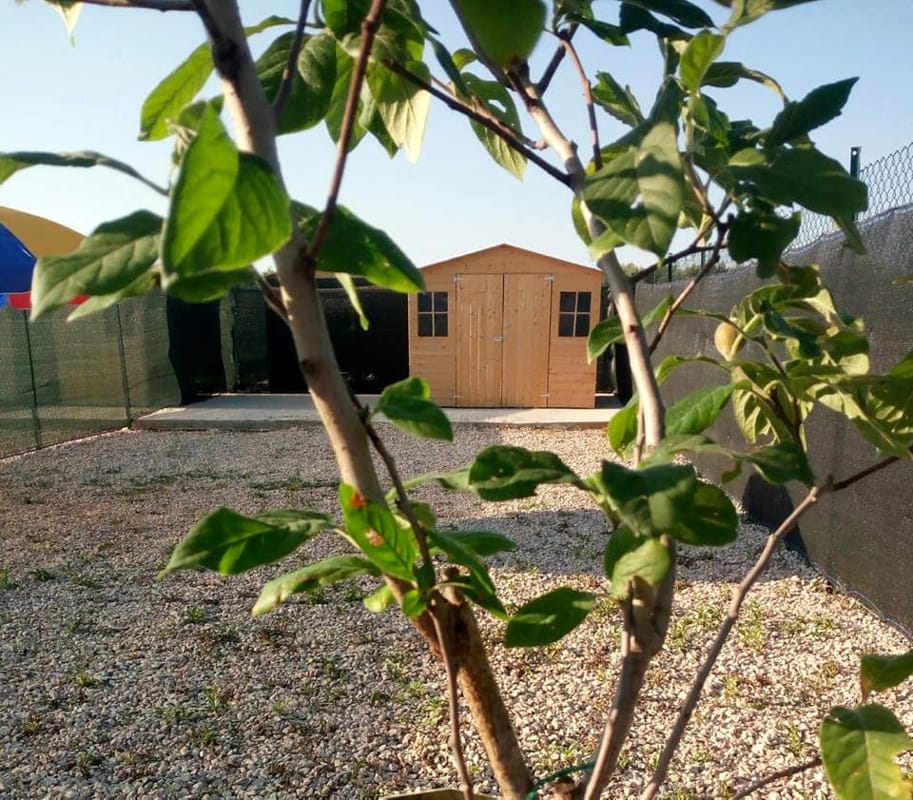 A Cerignola Apre La Prima Oasi Senza Gabbie