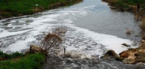 Inquinamento Elevato Per La Foce Del Torrente Candelaro
