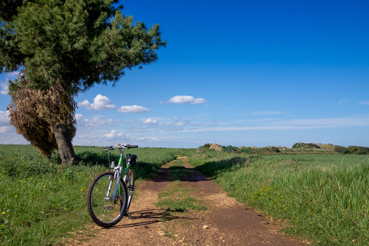 Vivere La Puglia In Bicicletta