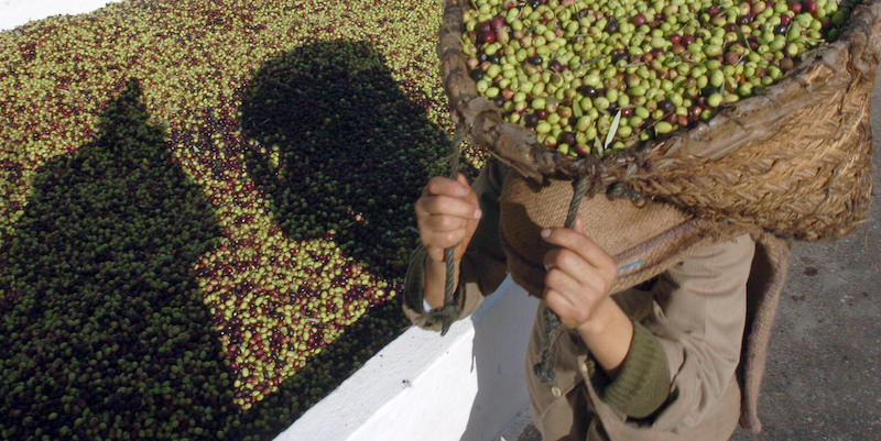 Olio