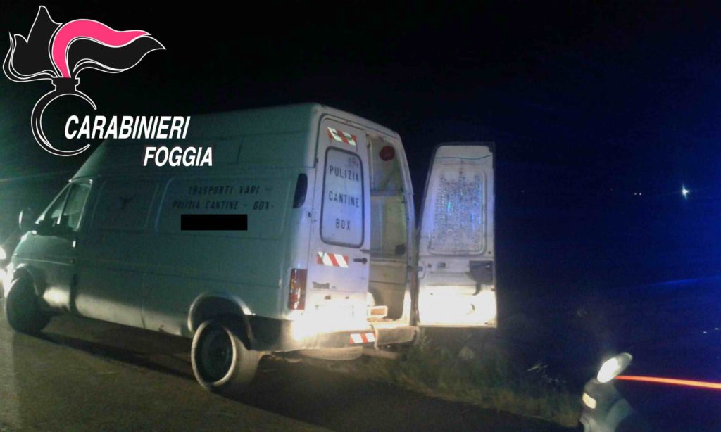Immagine5