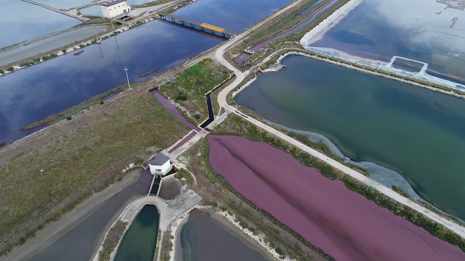 Consorzio di Bonifica