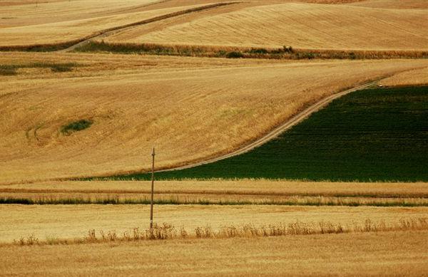 Lucera I Mestieri Del Cibo. Sapere Di Terra