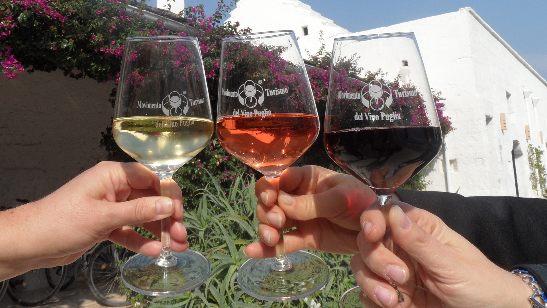 Movimento Turismo Del Vino Puglia