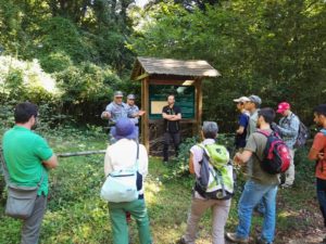 Faggete Foresta Umbra