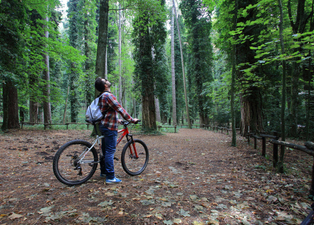 Gargano nPuglia365 - Cultura, Natura e Gusto