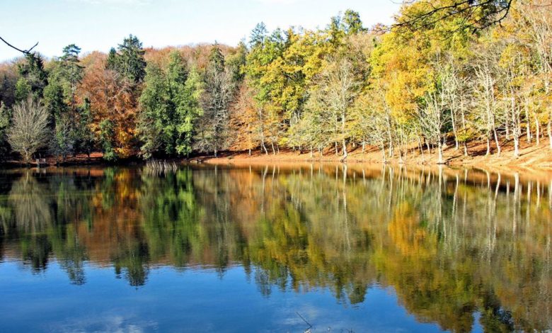 Photo of Cosa fare in autunno in Capitanata: tra boschi, borghi e panorami incantevoli