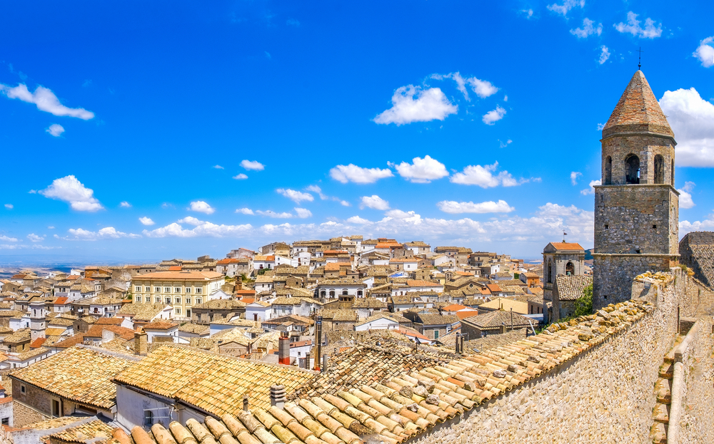 Bovino