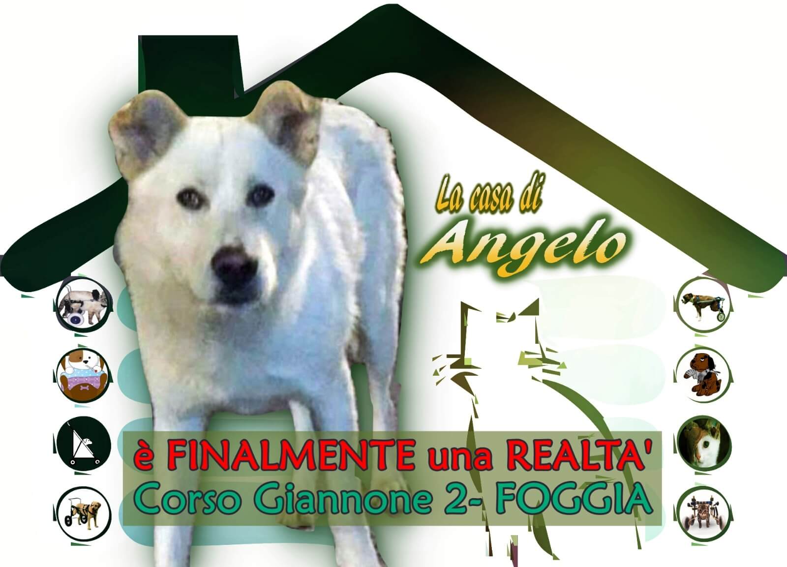 Foggia La Casa Di Angelo