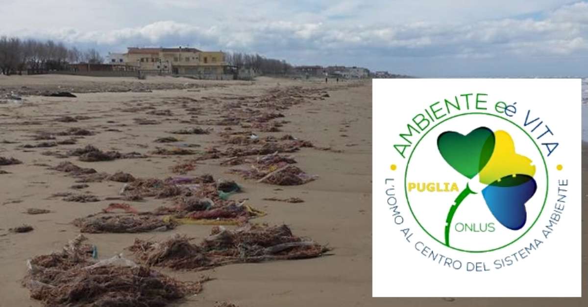 Gargano Retine Di Plastica