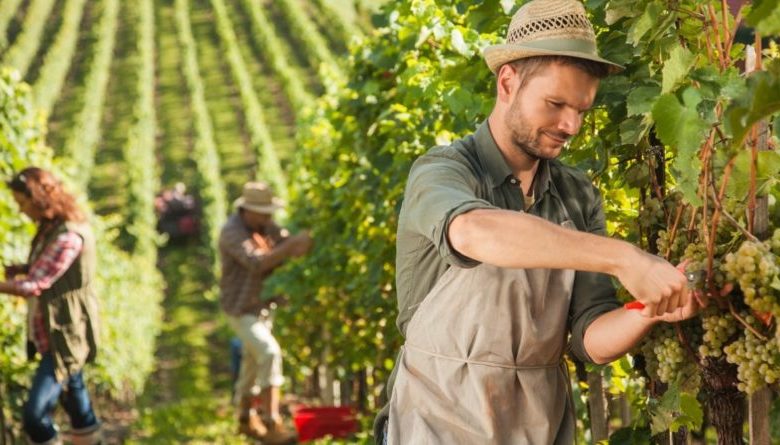 corso operatore agricolo