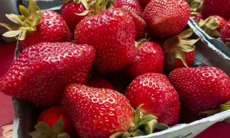 fragole