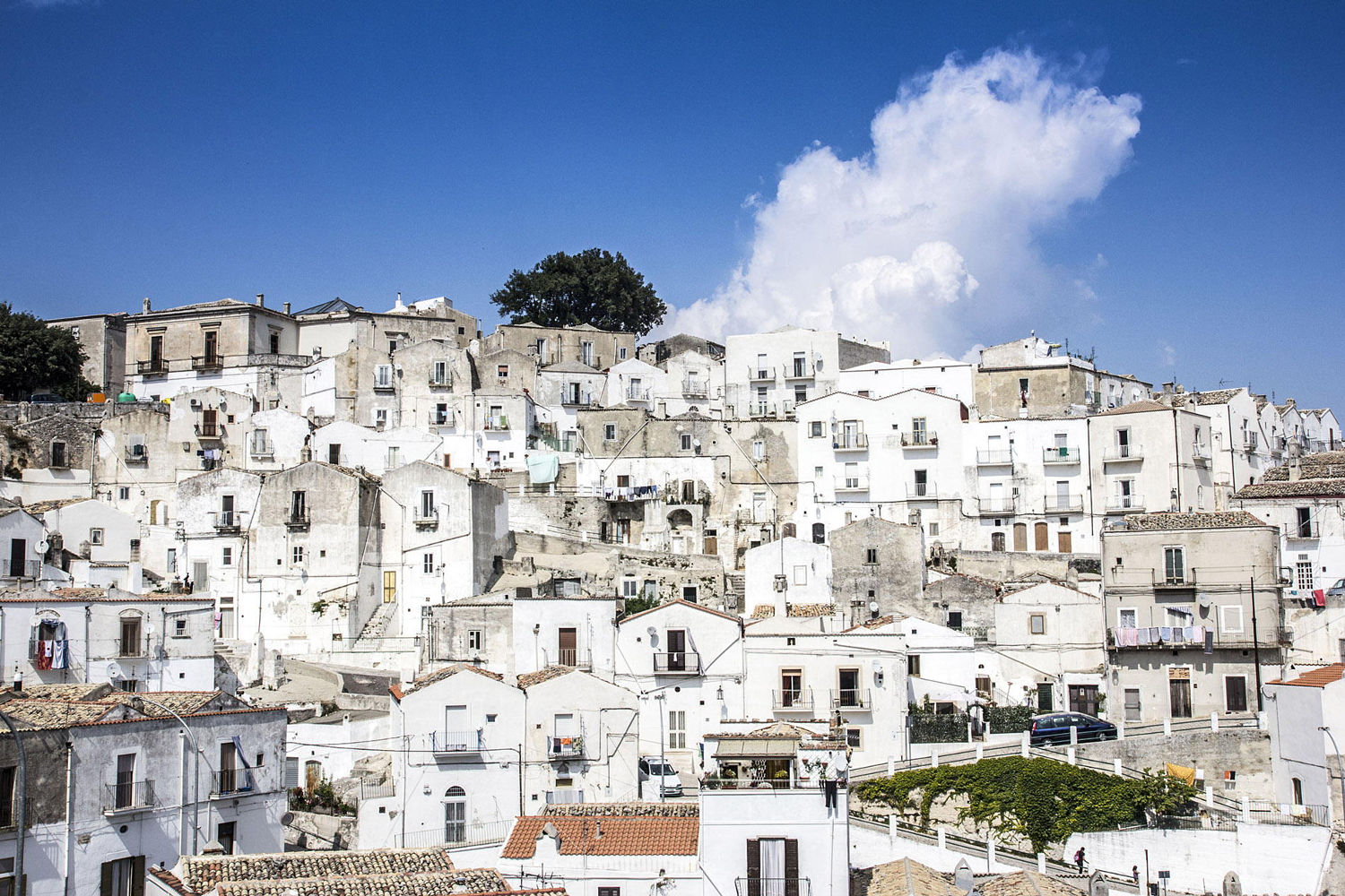 gargano press tour