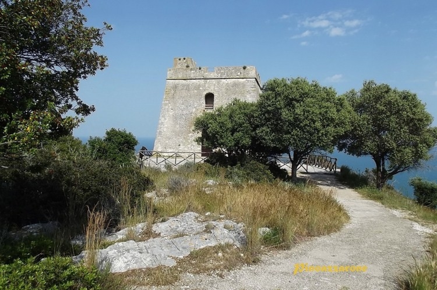 torre-aglio