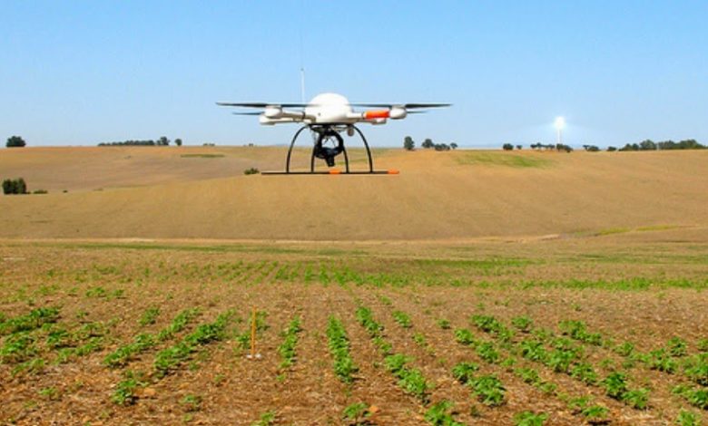 fiera agricoltura foggia