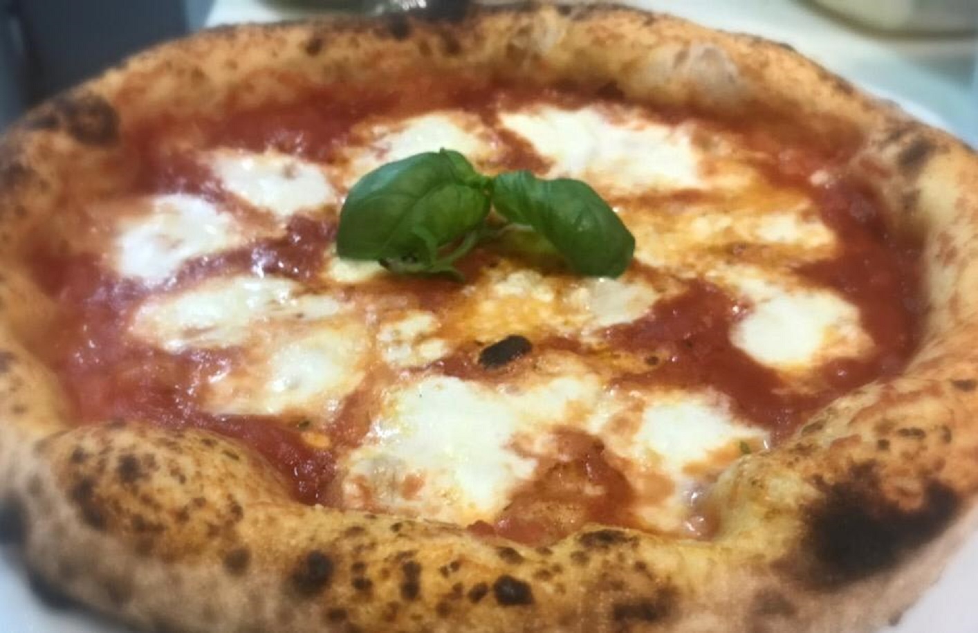 unifg esperto assaggiatore di pizza