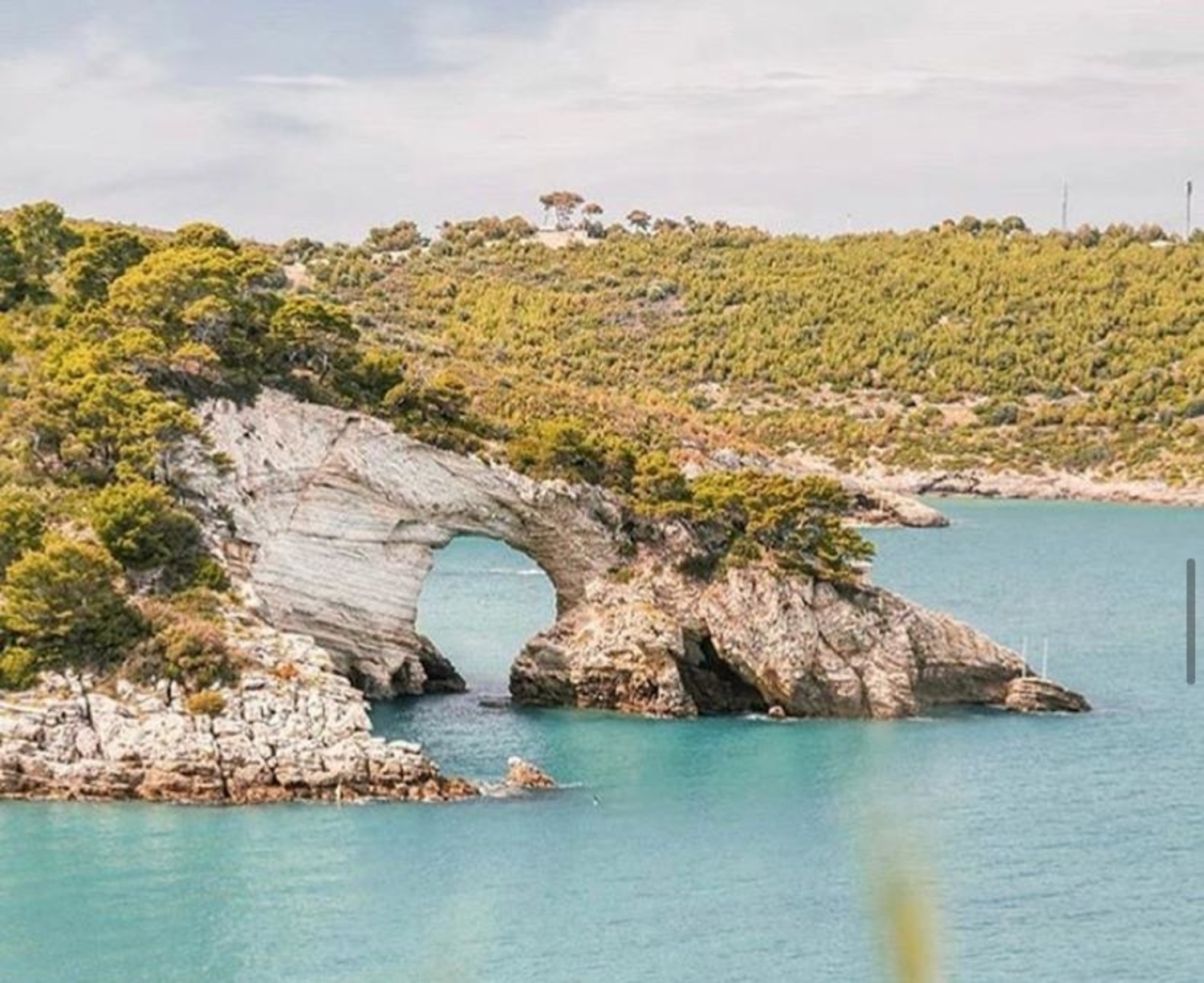 gargano