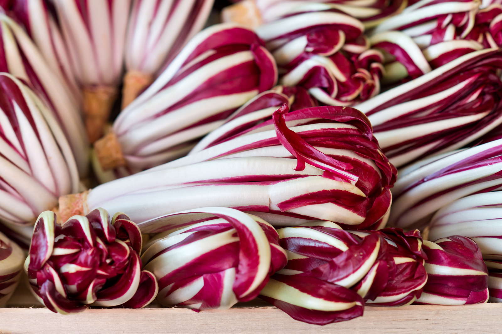 radicchio benefici