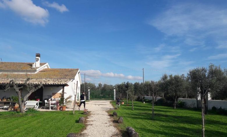 ti p-orto in puglia