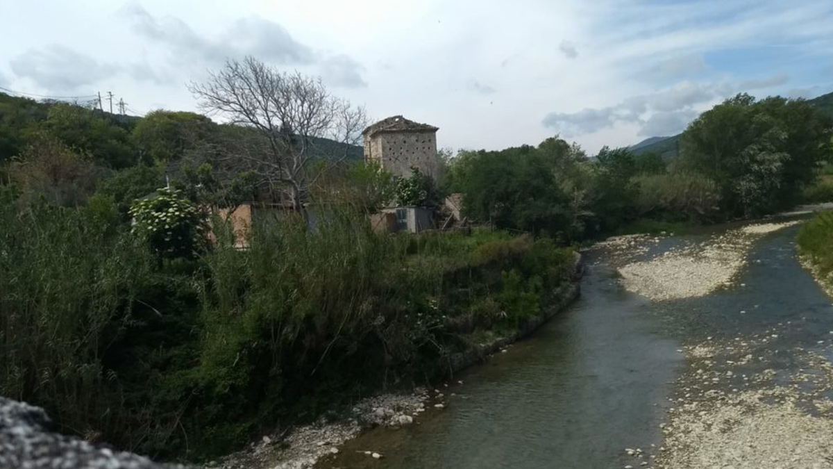 moleno acqua bovino