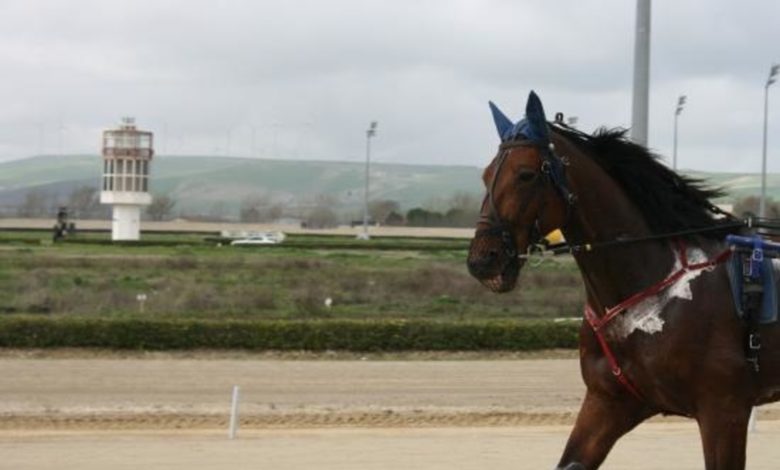 ippodromo-dei-sauri