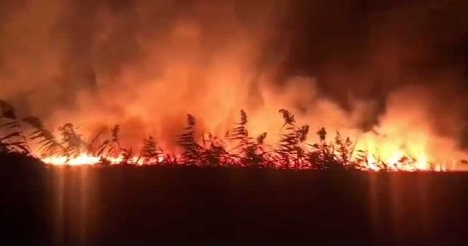 incendio-oasi-lago-salso