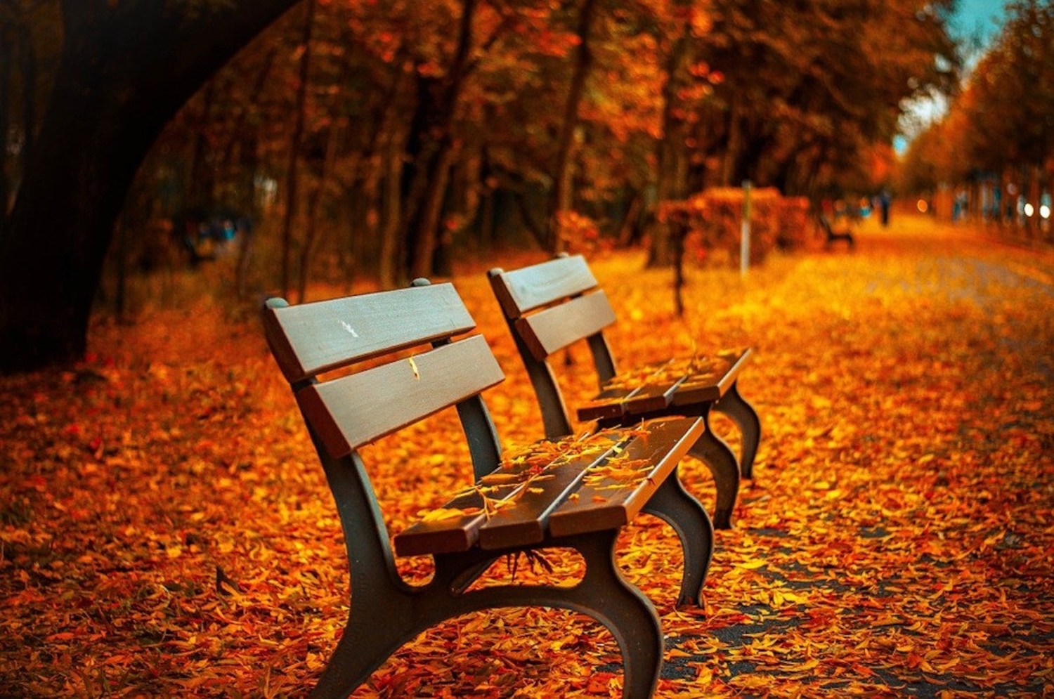 equinozio-autunno