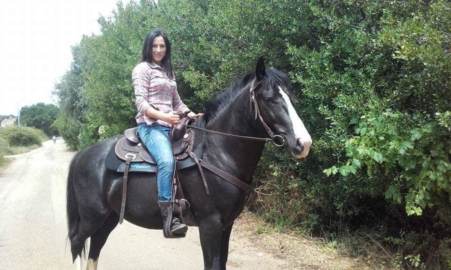 giovanna-de-cato-la-casa-dei-cavalli