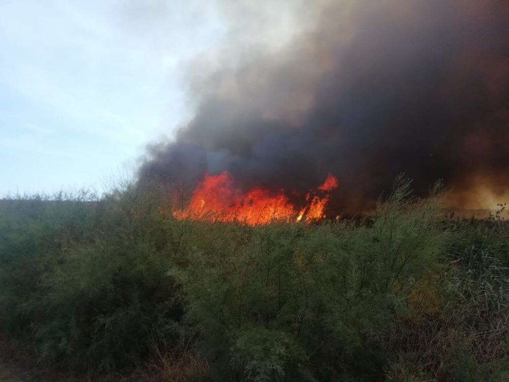 incendio-oasi-lago-salso