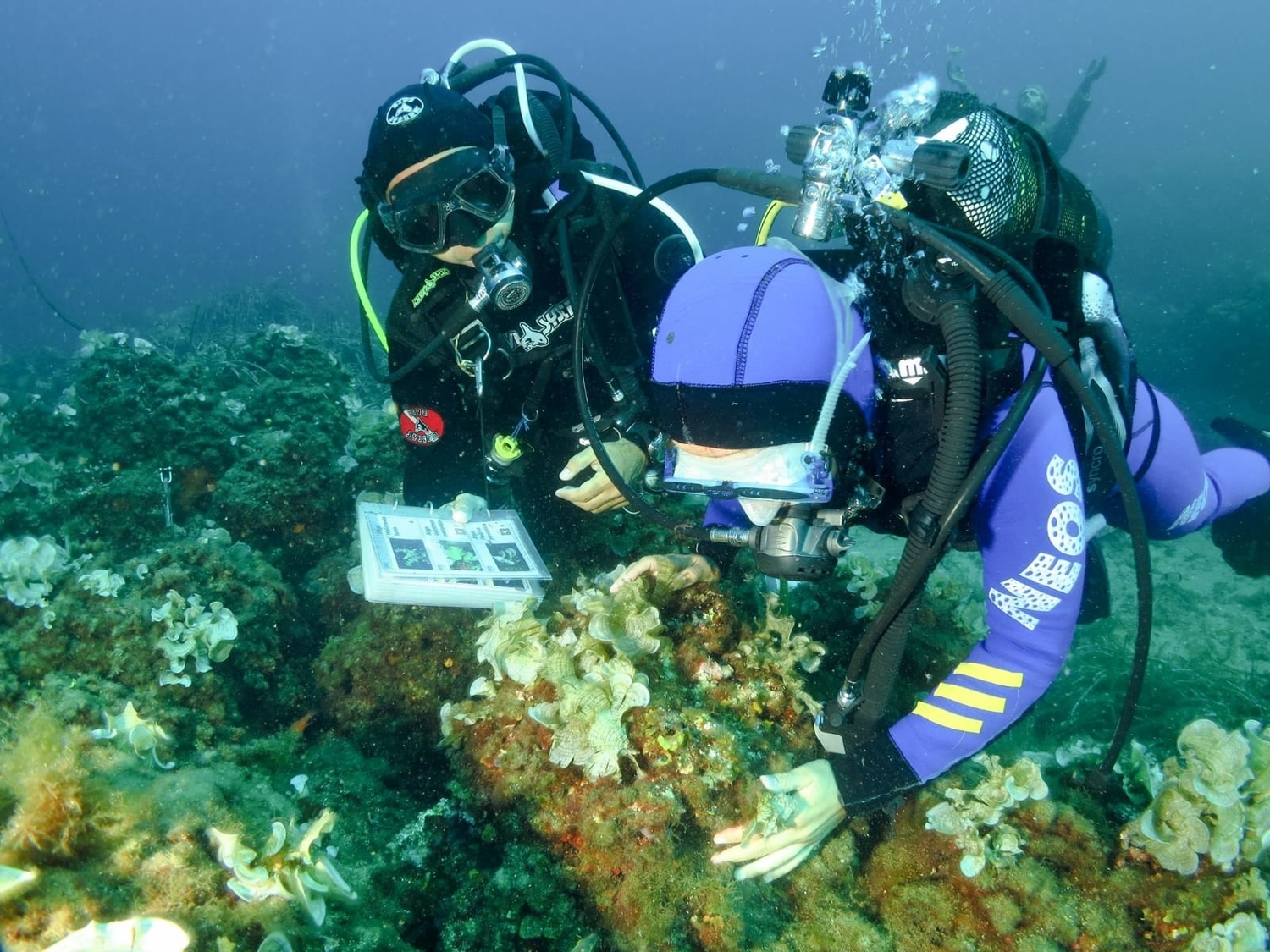 michele-emiliano-isole-tremiti