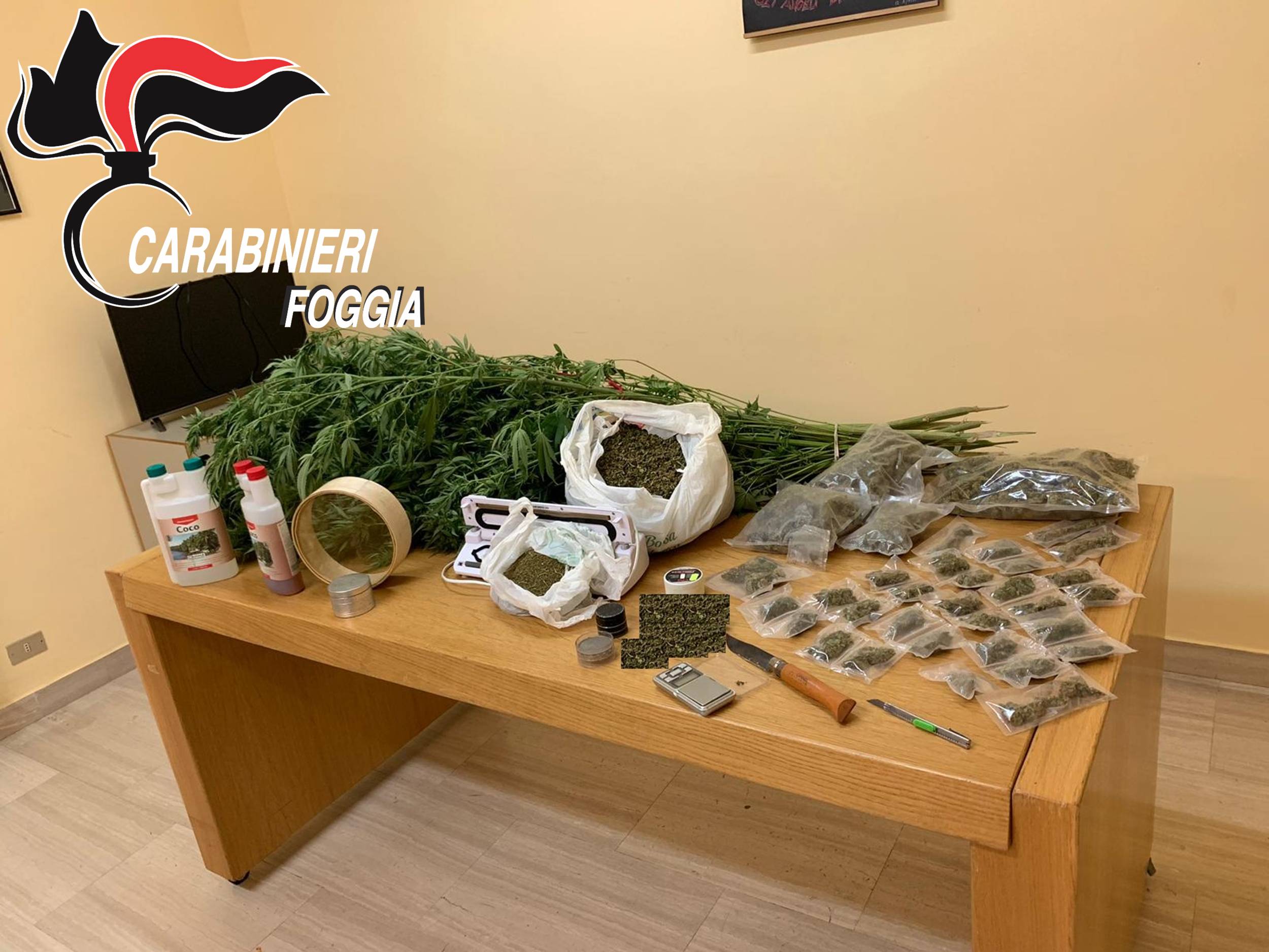 san-giovanni-rotondo-cannabis