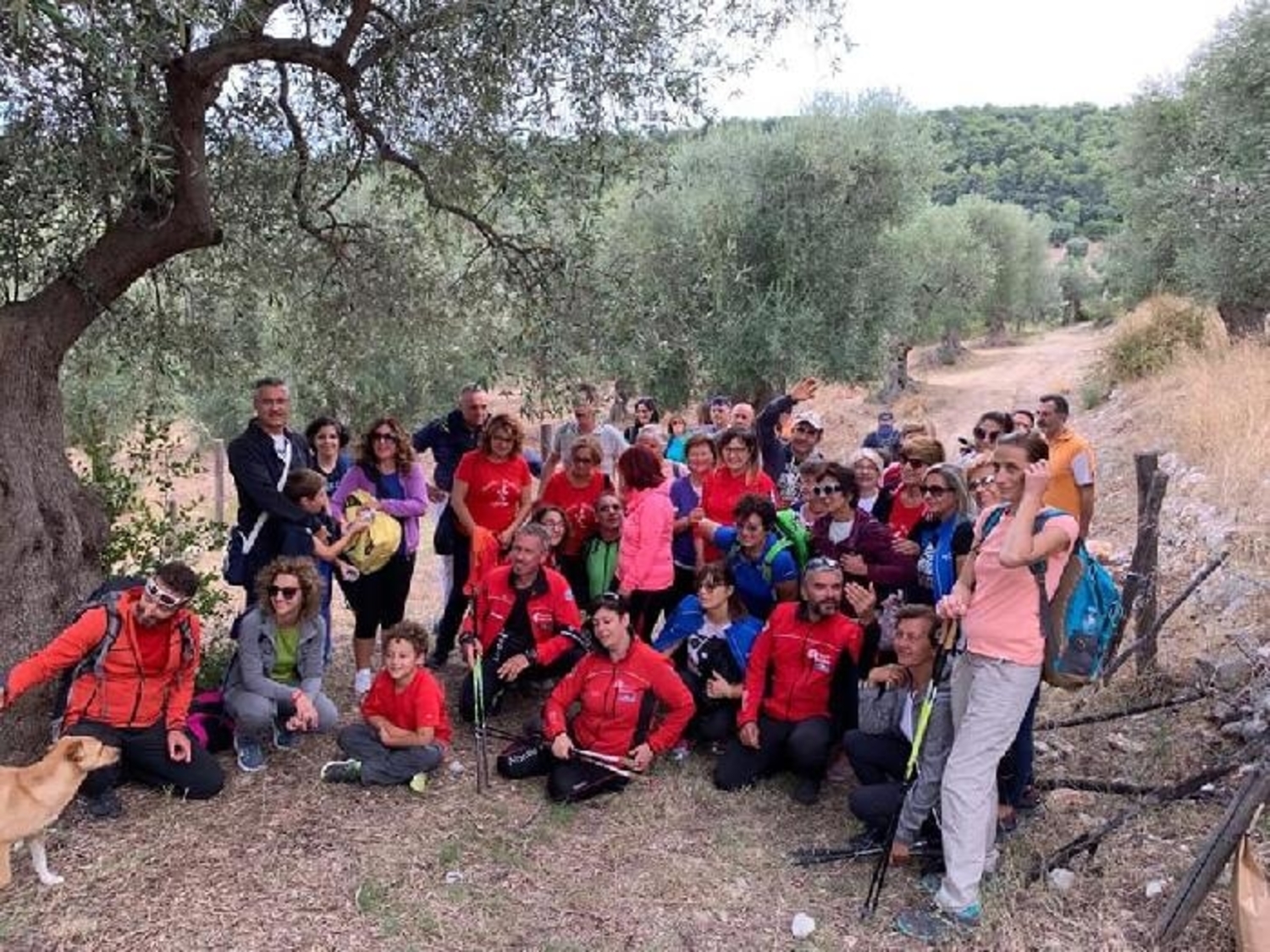 vieste-nordic-walking-park