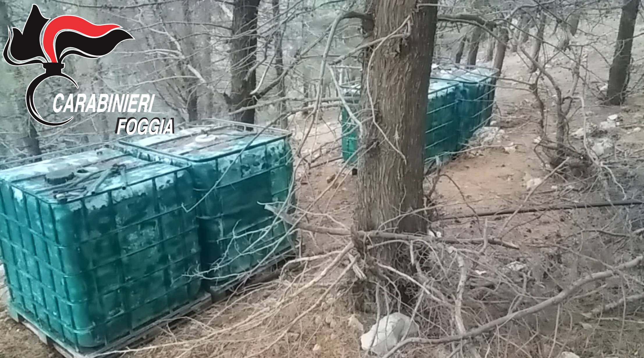 Marijuana San Marco in lamis