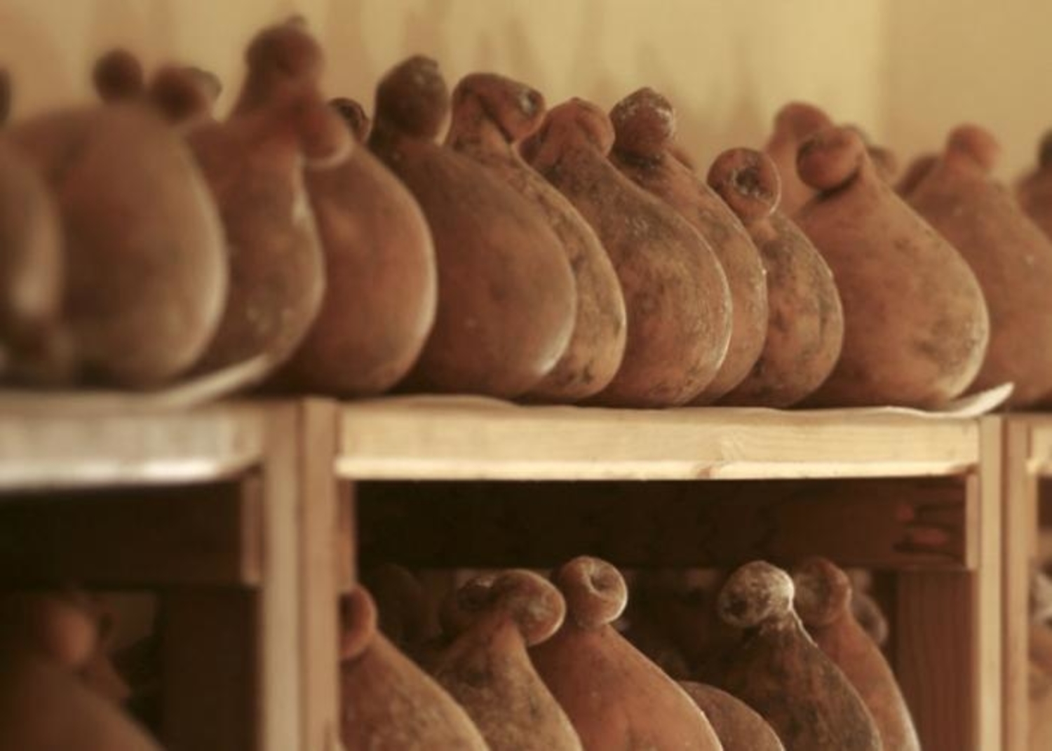 capitanata-slow-food