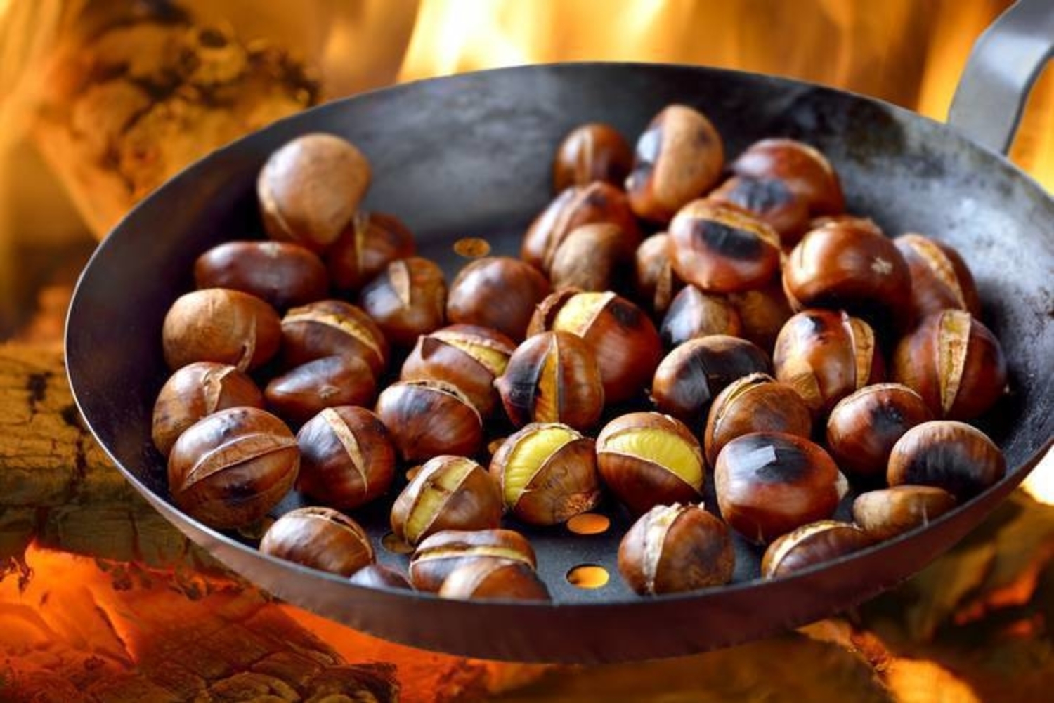 castagne-benefici