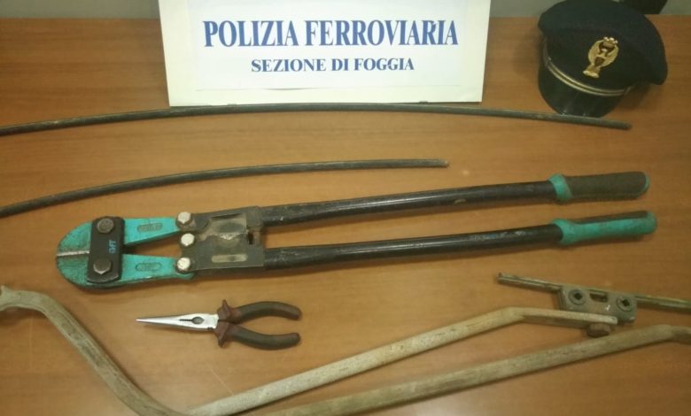 foggia-ladri-rame