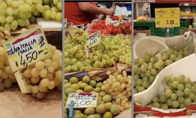 uva-puglia-prezzi