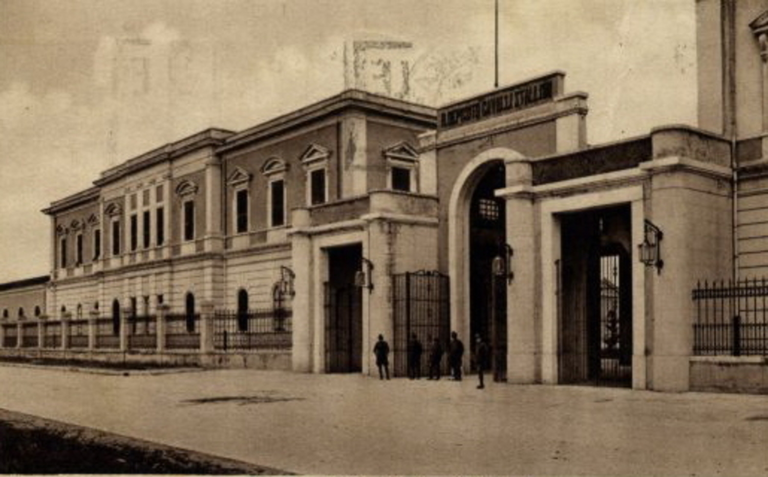 cavalli stallone foggia