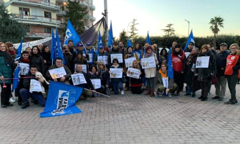 sit in lucera protesta gatto